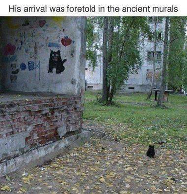 image.jpeg