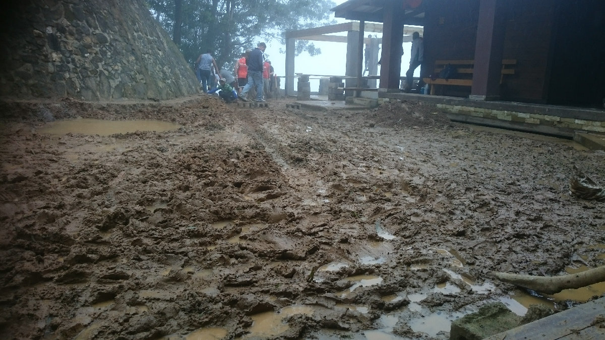 DSC_1530.JPG