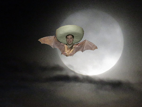 craigbat.jpg