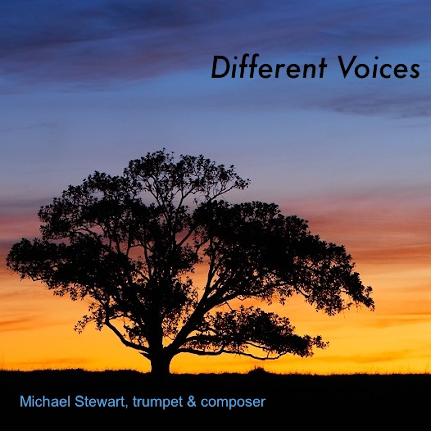 DifferentVoicesCover.jpg